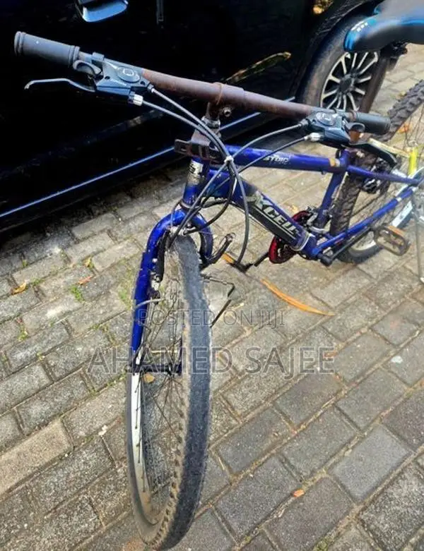 Blue Mountain Bike