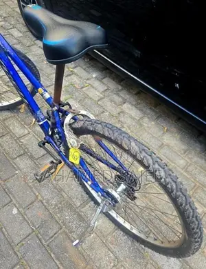 Blue Mountain Bike