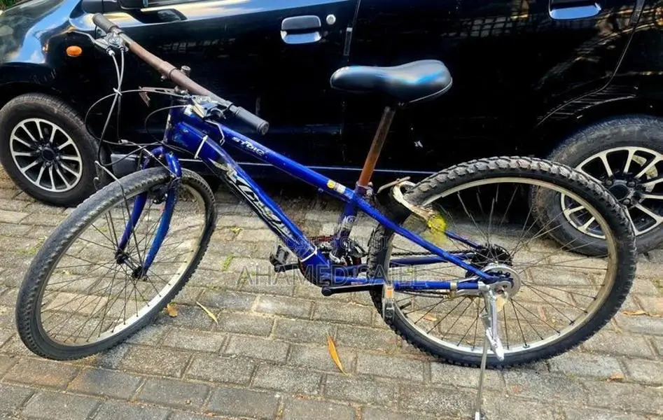 Blue Mountain Bike