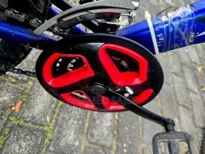 Blue Mountain Bike