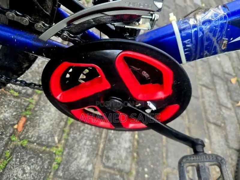 Blue Mountain Bike