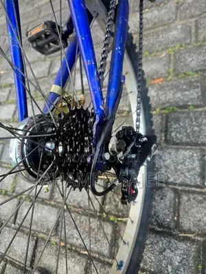 Blue Mountain Bike