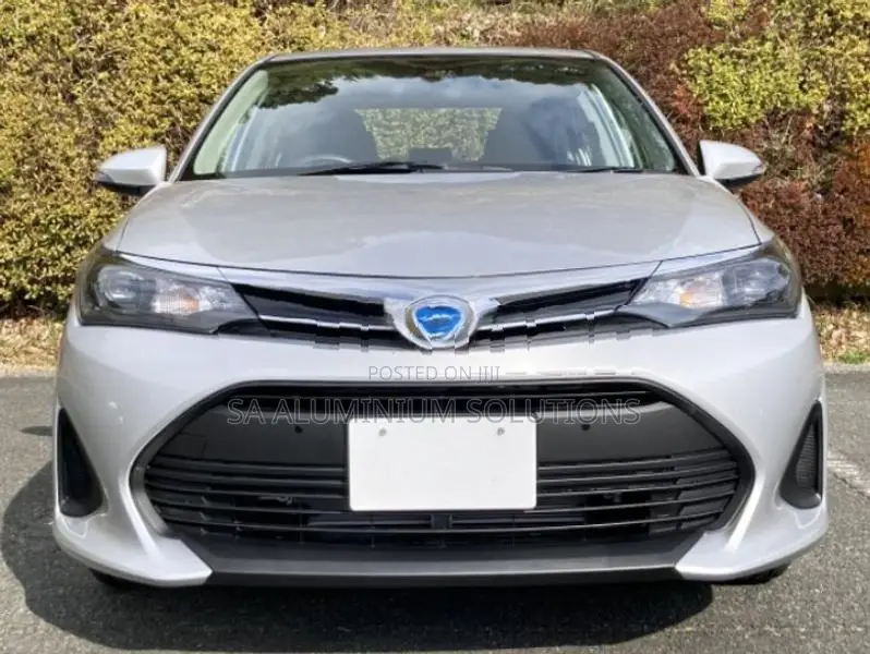 Toyota Axio EX 2026