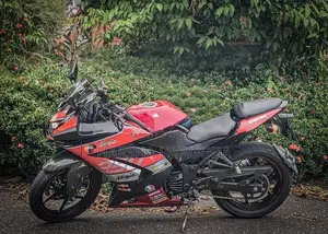 Kawasaki Ninja 250 2009