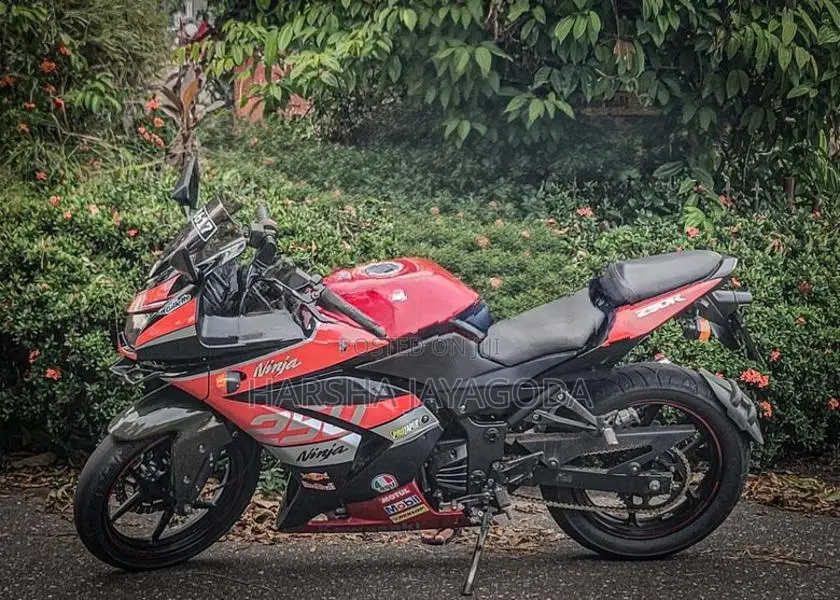 Kawasaki Ninja 250 2009