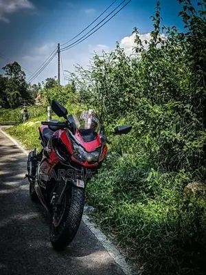 Kawasaki Ninja 250 2009