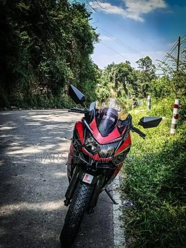 Kawasaki Ninja 250 2009