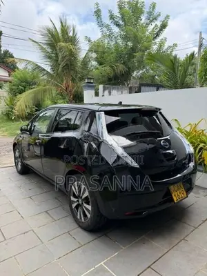 Nissan Leaf 2013