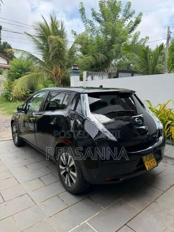 Nissan Leaf 2013
