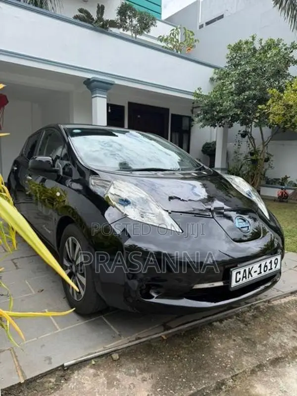 Nissan Leaf 2013
