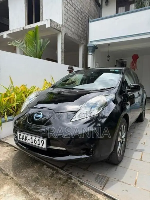 Nissan Leaf 2013