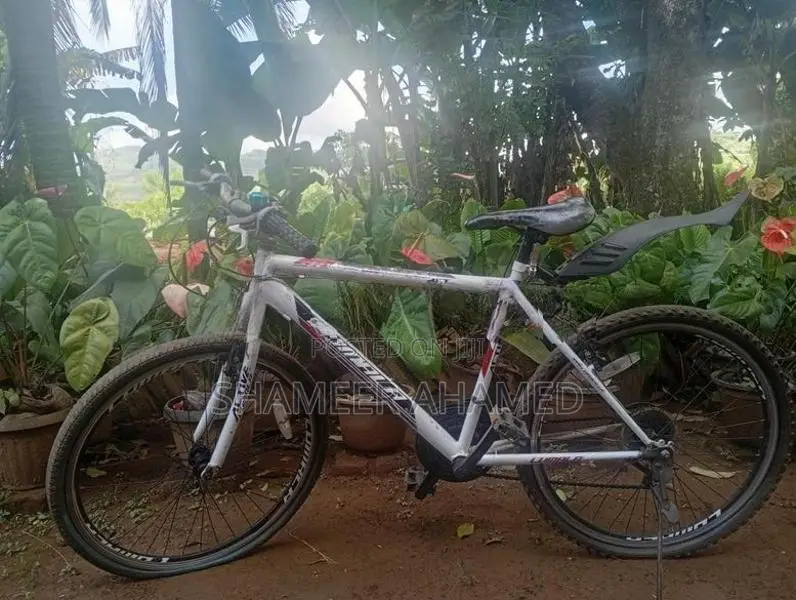 Active Lumala