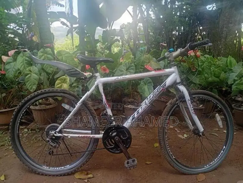 Active Lumala