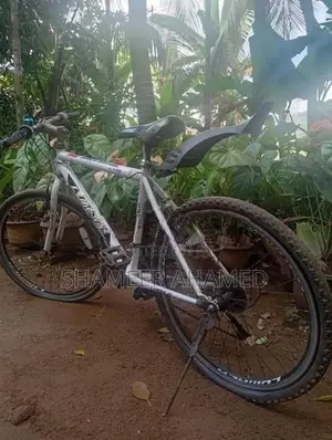 Active Lumala