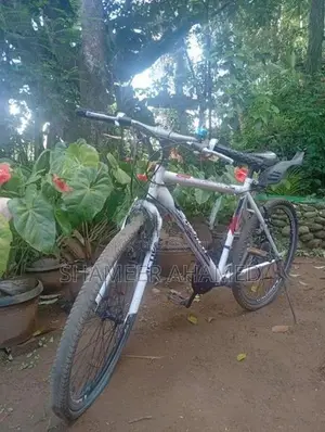 Active Lumala