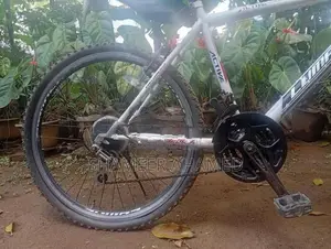 Active Lumala
