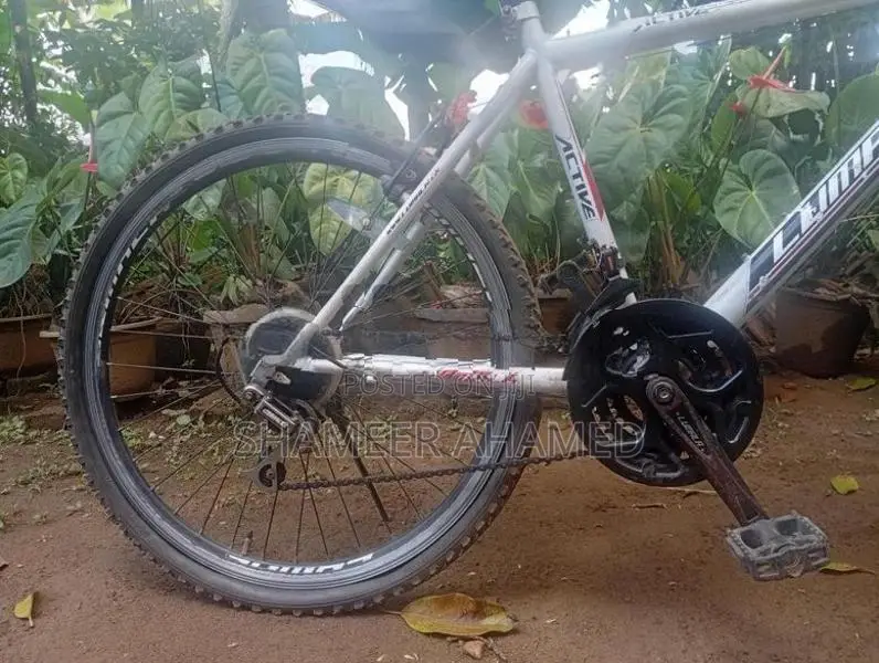 Active Lumala