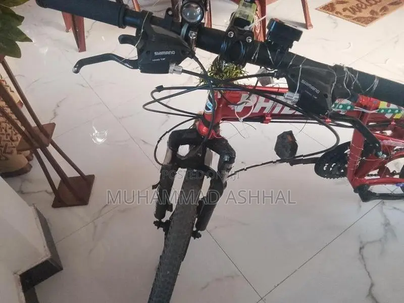 Foldable Bicycle