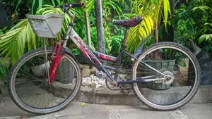 Black Tornado Neo Bicycle