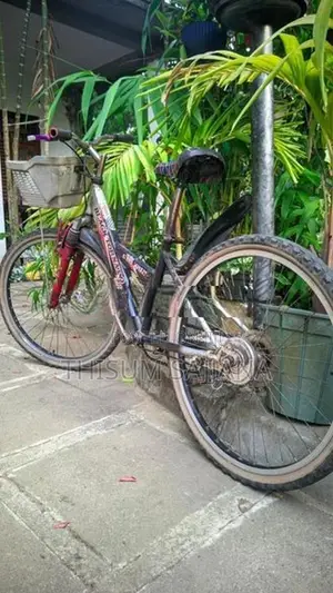 Black Tornado Neo Bicycle