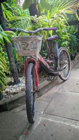 Black Tornado Neo Bicycle