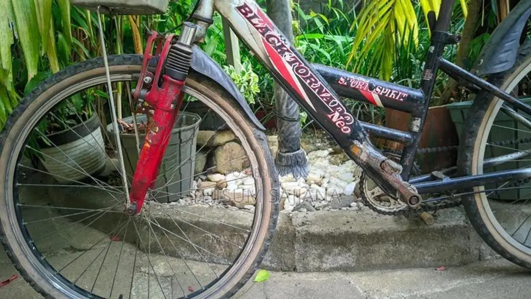 Black Tornado Neo Bicycle