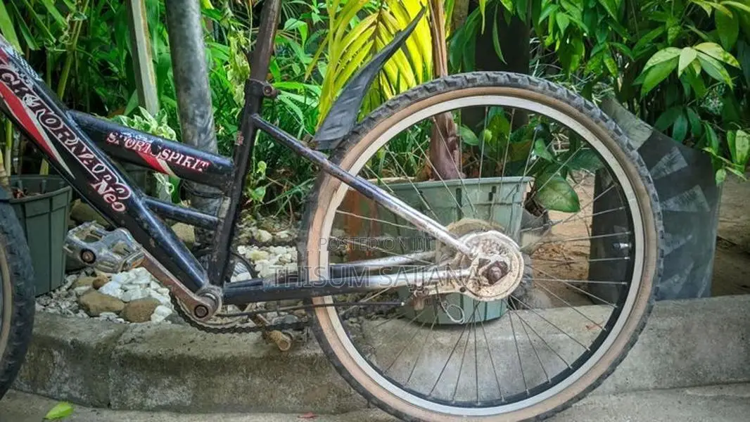 Black Tornado Neo Bicycle