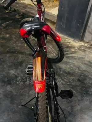 Bike DSI