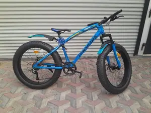 Fat Tyre Mountain Bicycle