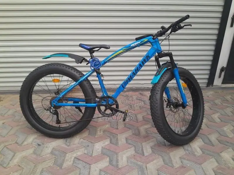 Fat Tyre Mountain Bicycle