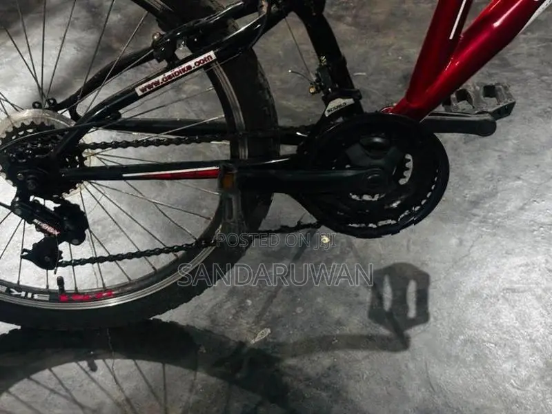 Bike DSI
