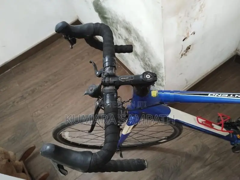Giant Contend 2 Road Bike