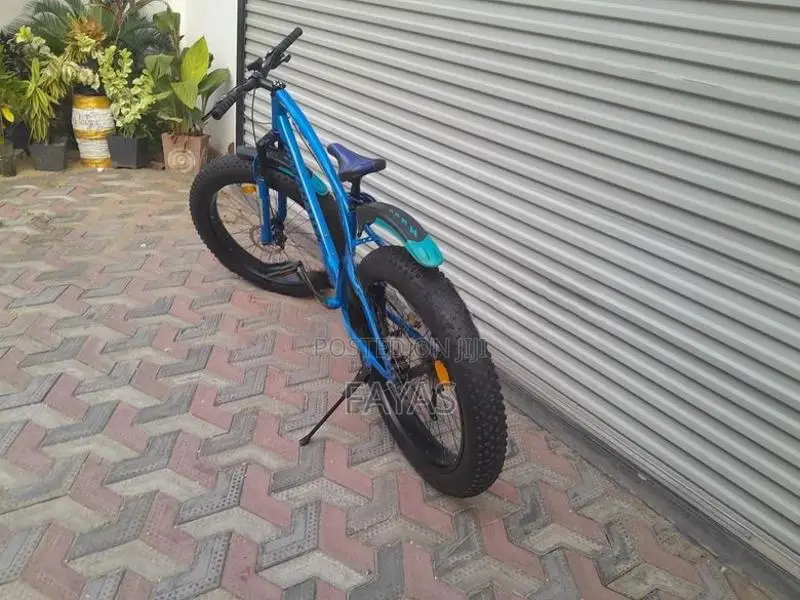 Fat Tyre Mountain Bicycle