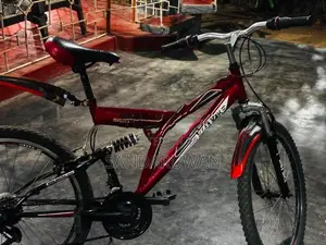 Bike DSI
