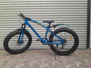 Fat Tyre Mountain Bicycle