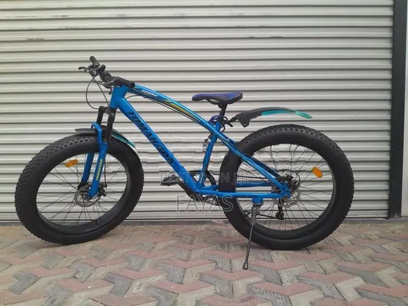 Fat Tyre Mountain Bicycle