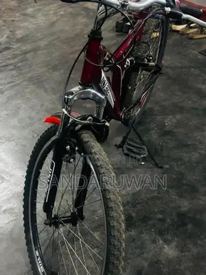 Bike DSI