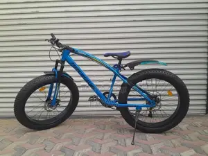 Fat Tyre Mountain Bicycle