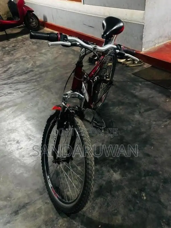 Bike DSI