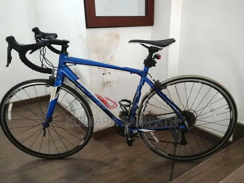 Giant Contend 2 Road Bike