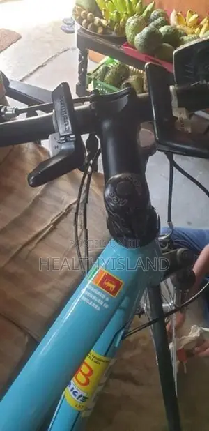 Stallion SR050 Hybrid Bicycle