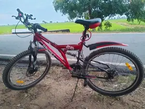 Dsi Mountain Bike