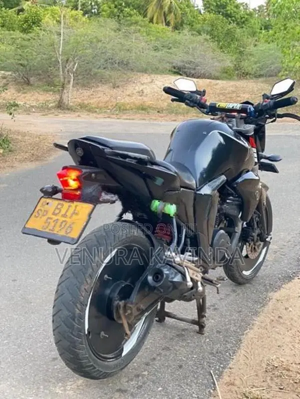 Yamaha FZs V2 2019