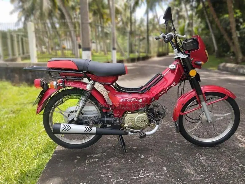 Singer Safari 48 2016