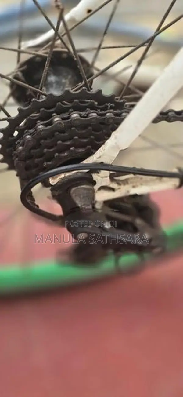 Sport Bicycle