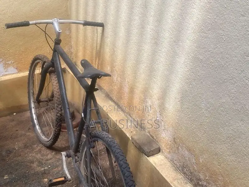 Mountain Bicycle