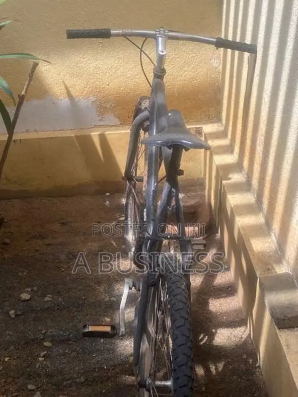 Mountain Bicycle