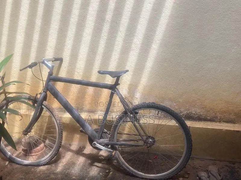 Mountain Bicycle