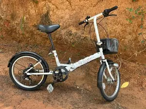 Japan cycle