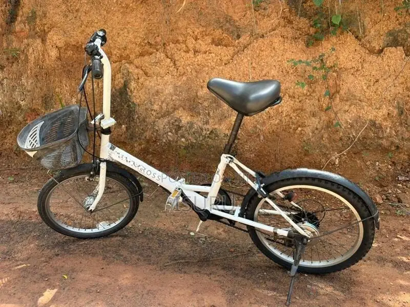 Japan cycle